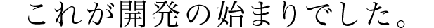 これが開発の始まりでした