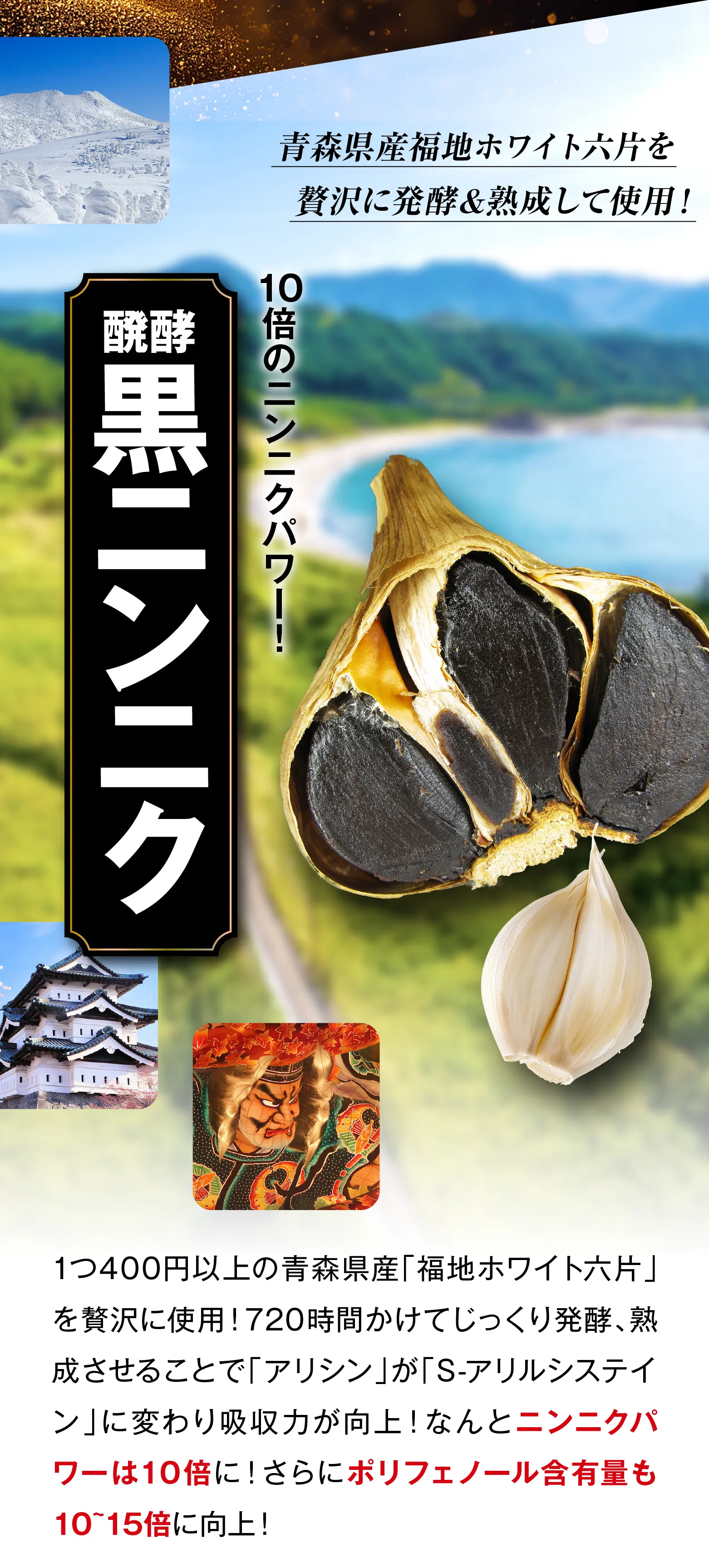 10倍のニンニクパワー！醗酵黒にんにく