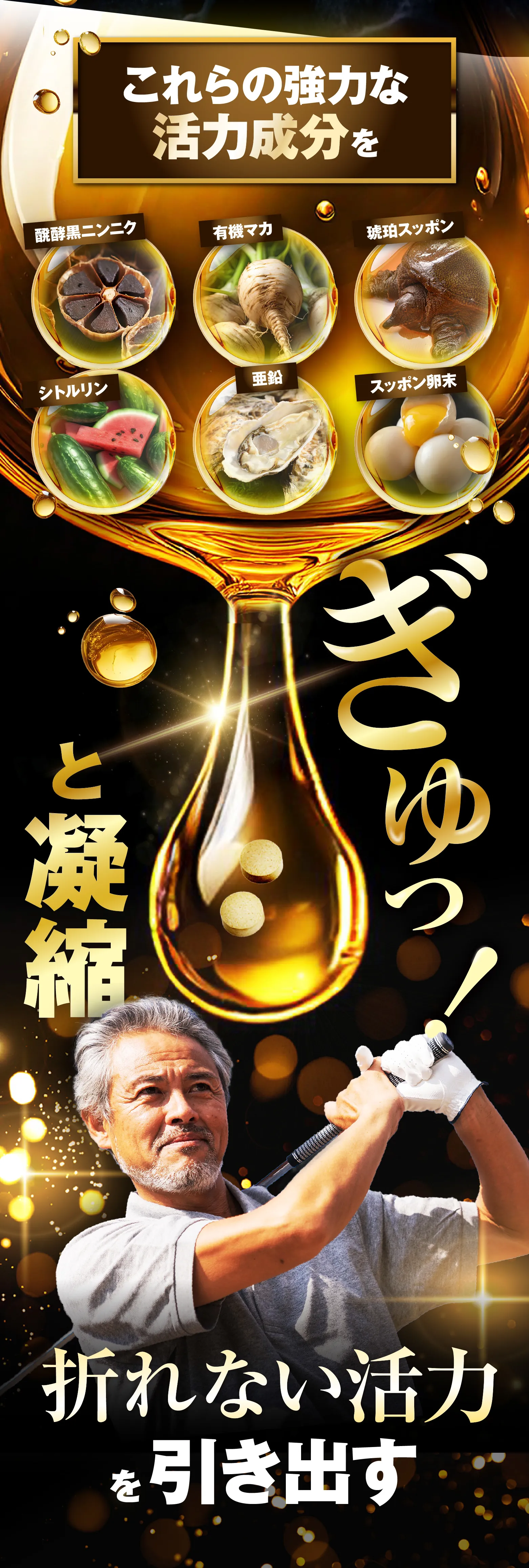 強力な活力成分をぎゅっと凝縮して折れない活力を引き出す！