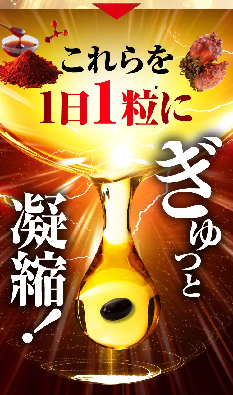見える力記憶力6