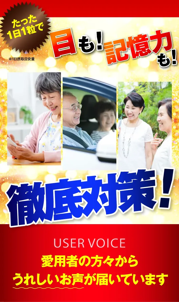 見える力記憶力7
