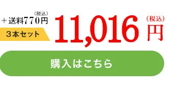 3本　11,016円