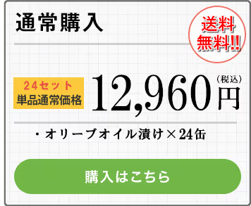 通常購入_24セット