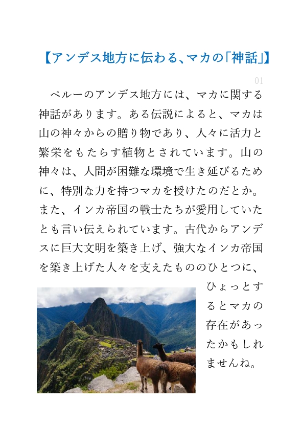 lineコラム_マカの逸話