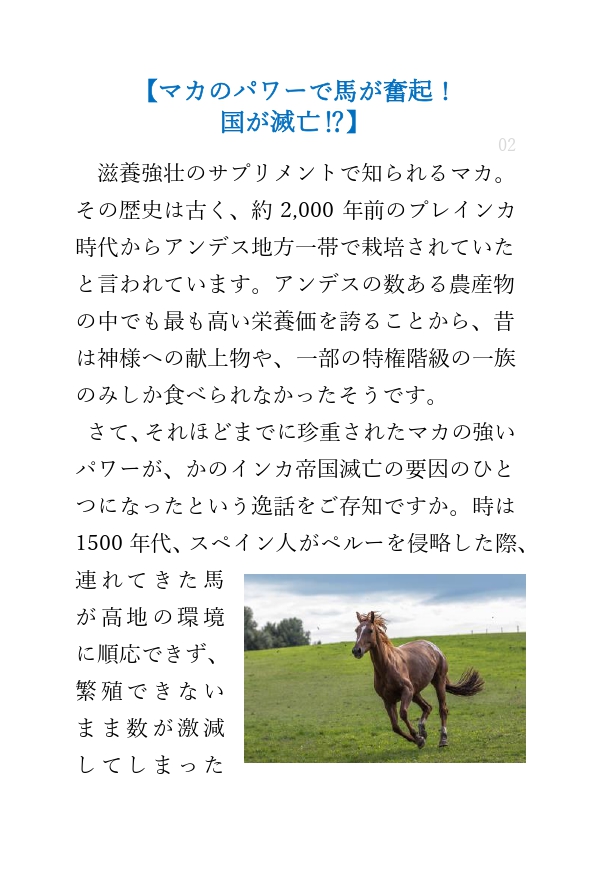 lineコラム_マカの逸話
