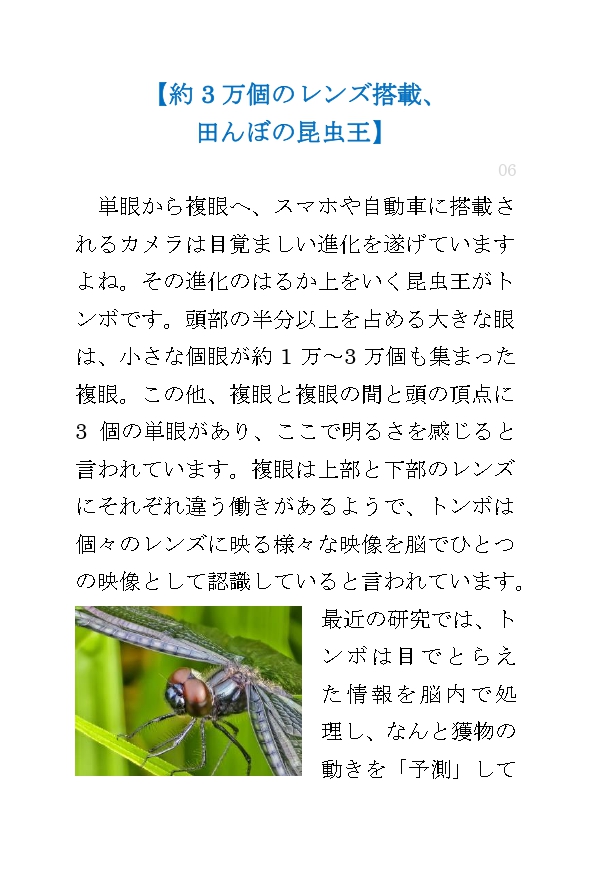 lineコラム_ 約3万個のレンズ搭載、田んぼの昆虫王