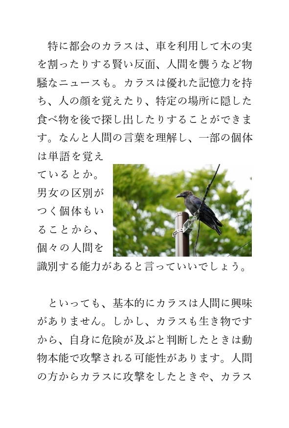lineコラム_カラスの記憶力