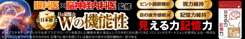 見える力記憶力