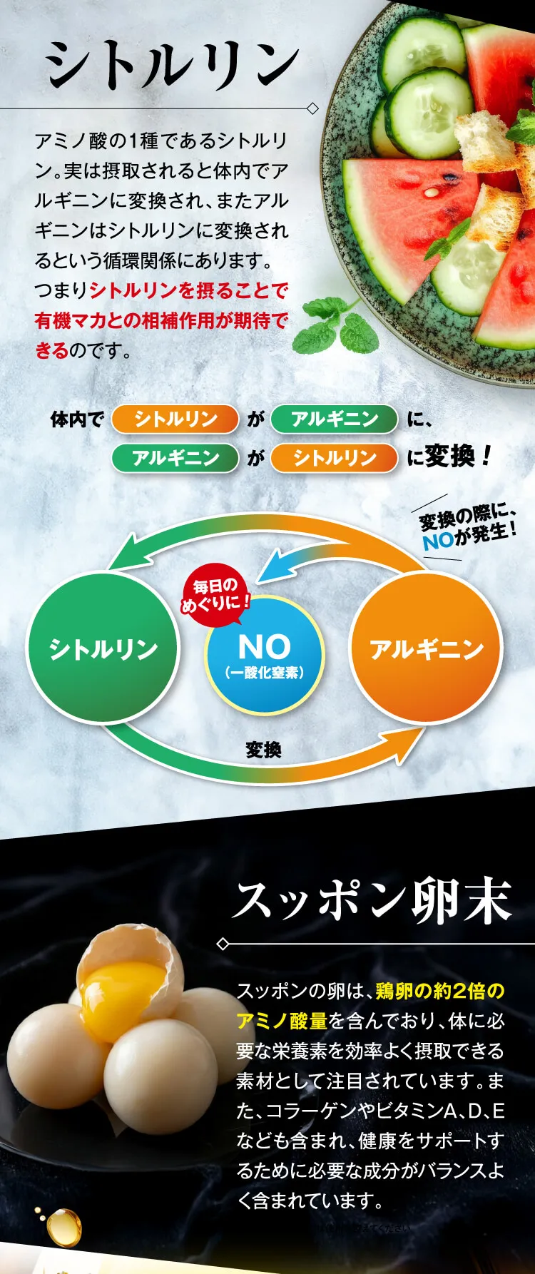 シトルリン スッポン卵末