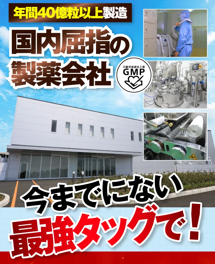 いままでにない最強タッグで
