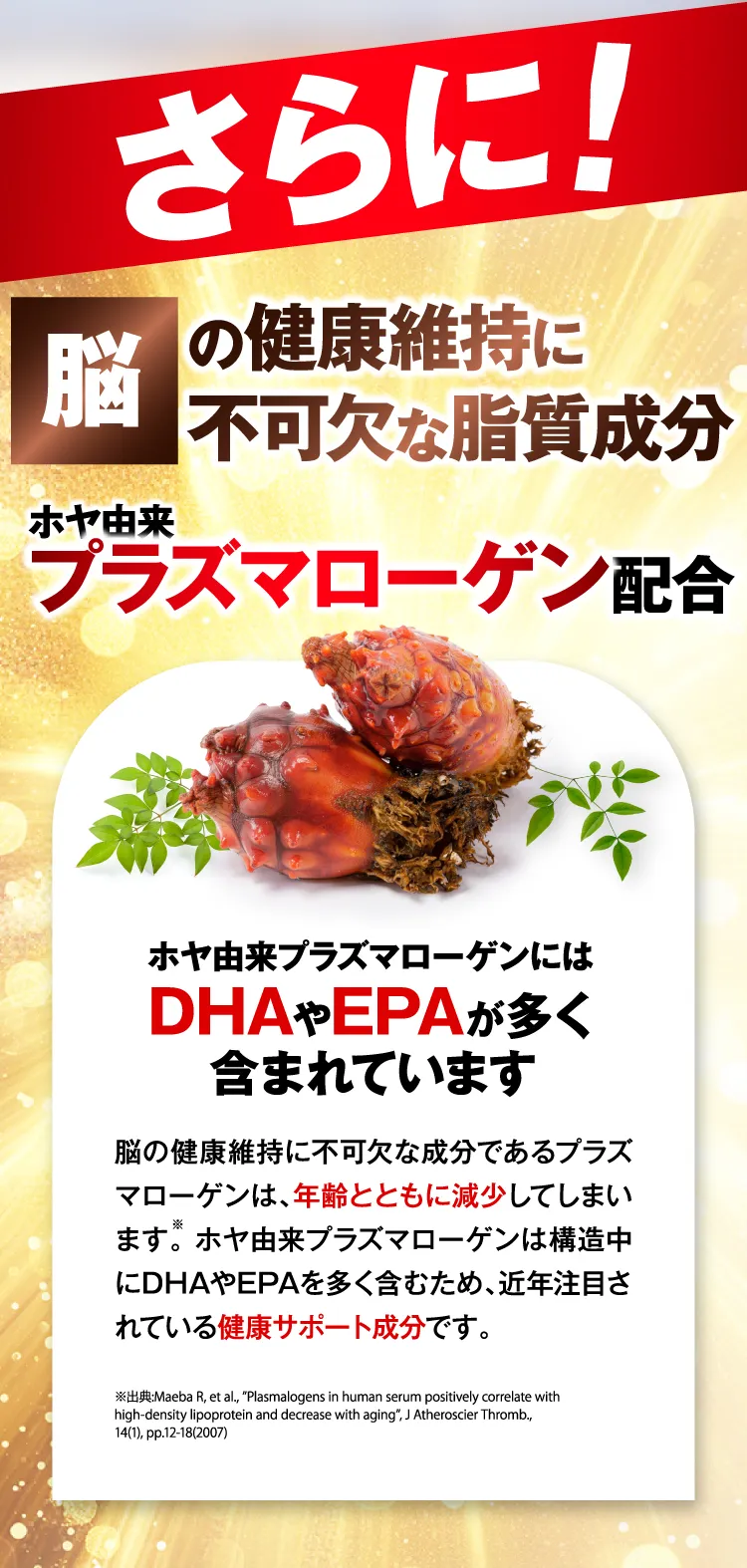 脳の健康維持に必要不可欠な脂質成分
