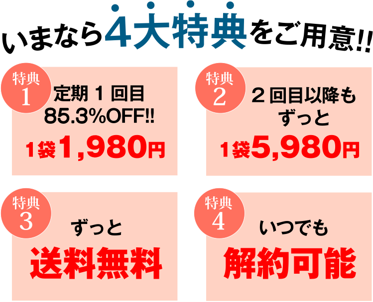 いまなら4大特典をご用意!!
