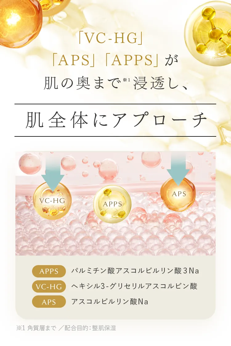 「VC-HG」「APS」「APPS」が肌の奥まで※1浸透し、肌全体にアプローチ（※1 角質層まで ／配合目的：整肌保湿）