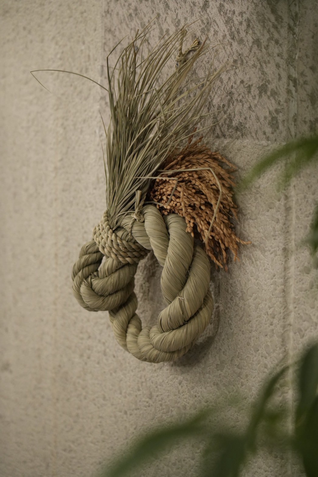 おだやか -ODAYAKA- 大