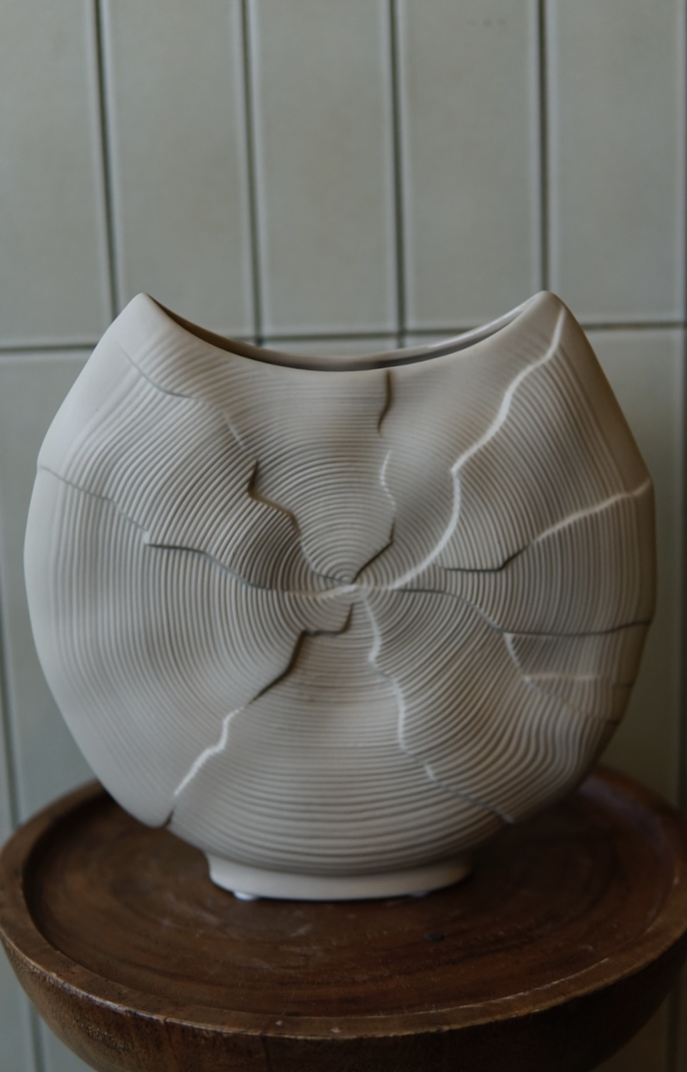 Flower vase pottery fossil S