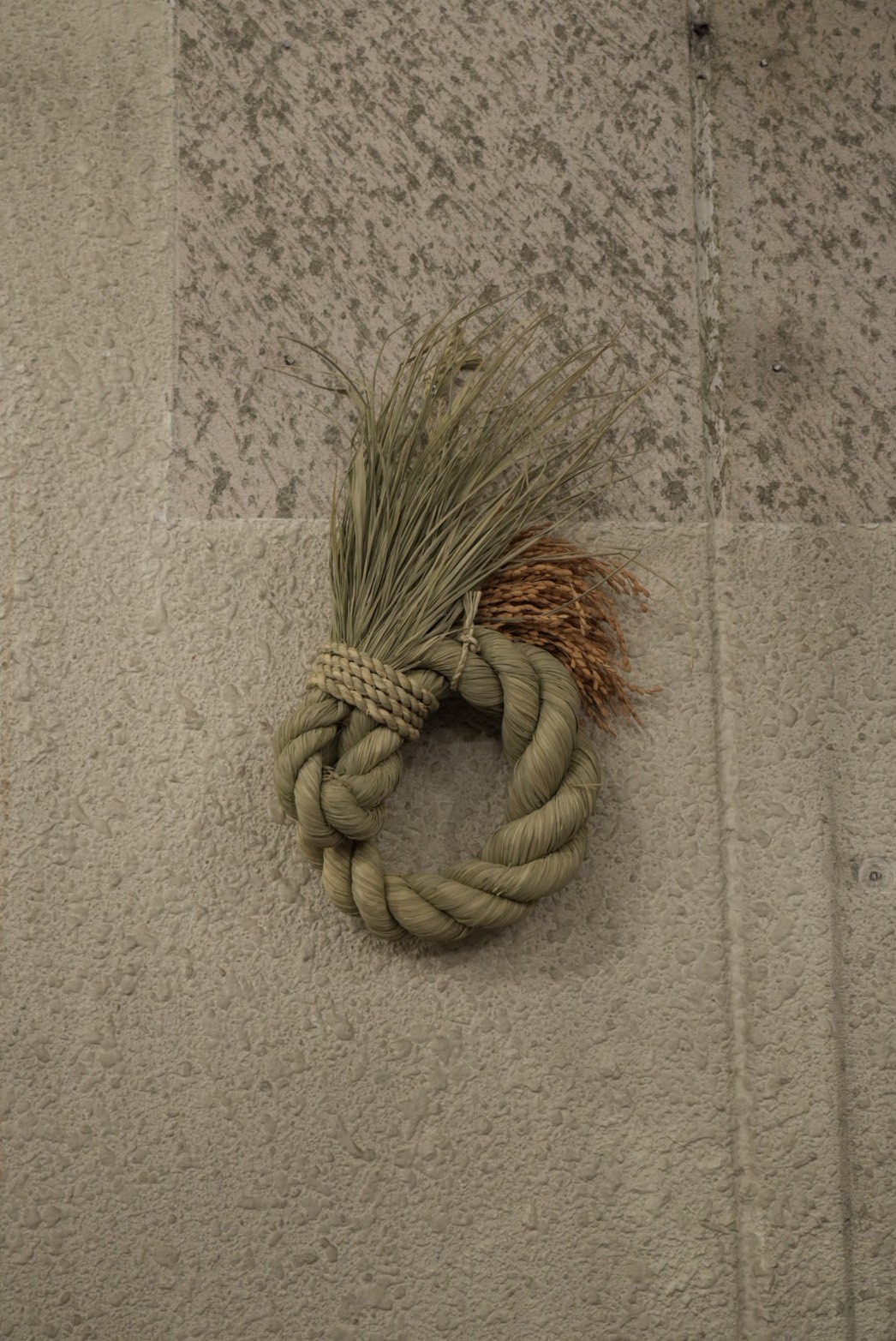 おだやか -ODAYAKA- 大