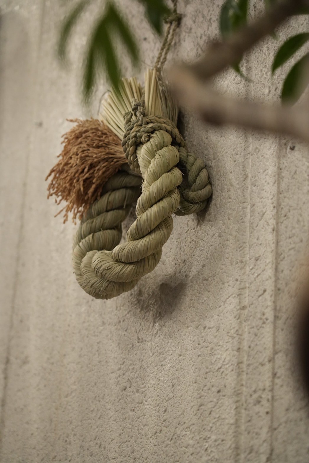 おだやか -ODAYAKA- 小