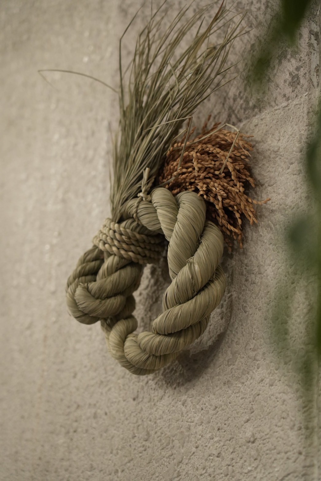 おだやか -ODAYAKA- 大