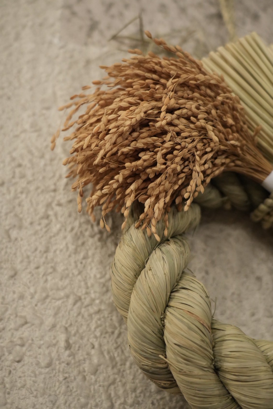 おだやか -ODAYAKA- 小