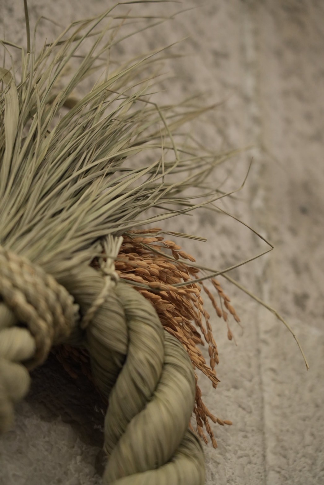 おだやか -ODAYAKA- 大