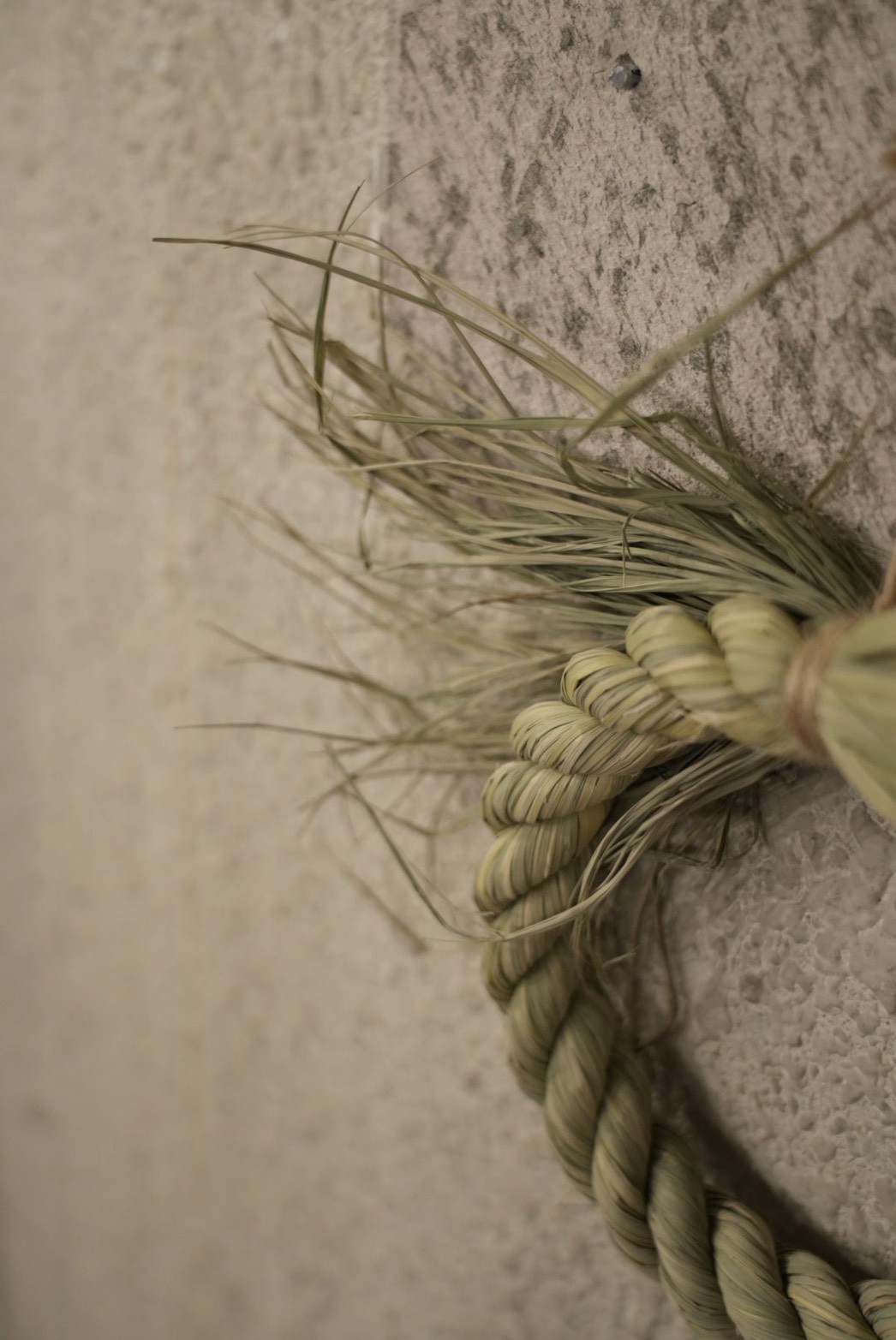 護り糸 -MAMORIITO- 姫