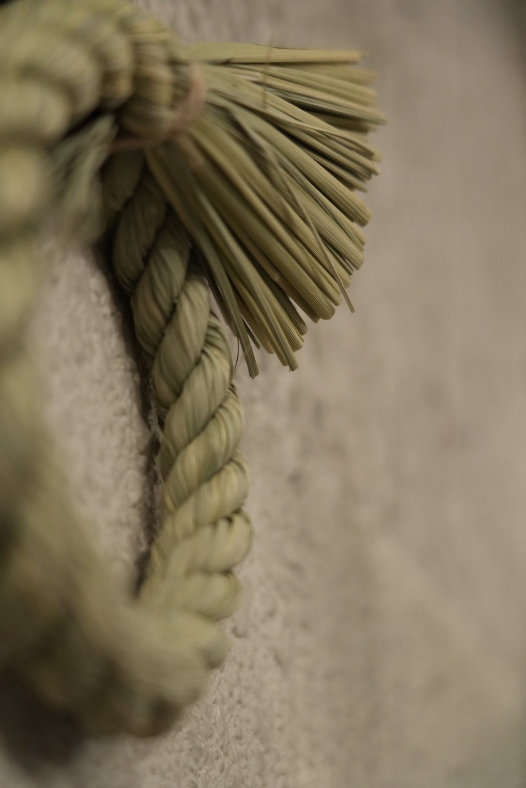 護り糸 -MAMORIITO- 姫