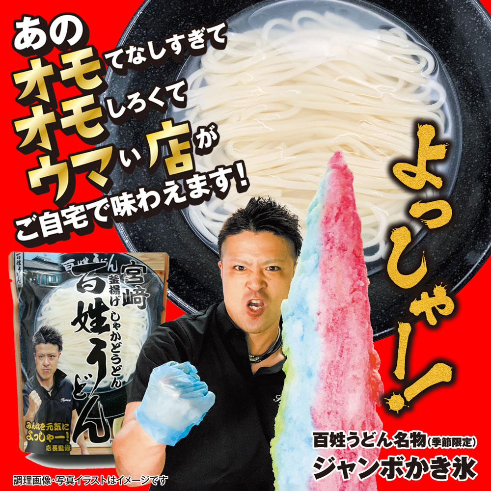 宮崎 釜揚げ しゃかどうどん 百姓うどん 内容量: 2食
