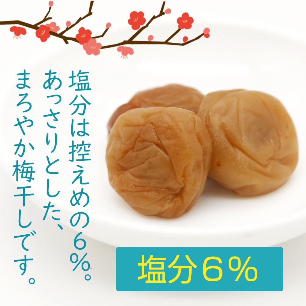 紀州南高梅うす塩味 内容量: 200g