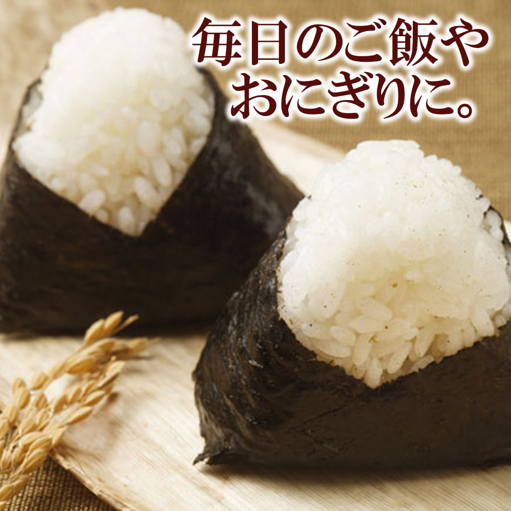 岩のりスティック 個包装