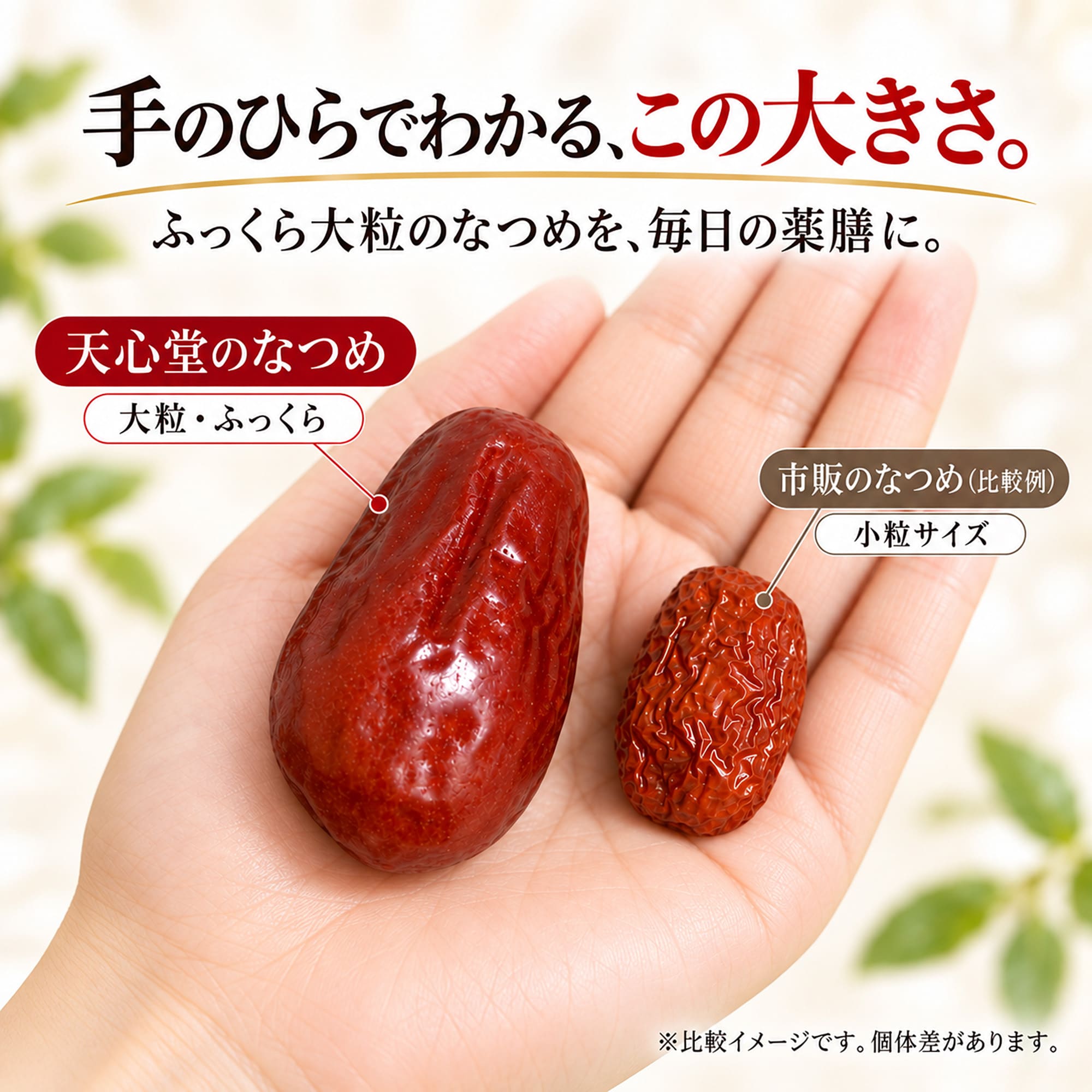 なつめ（乾燥） 100g