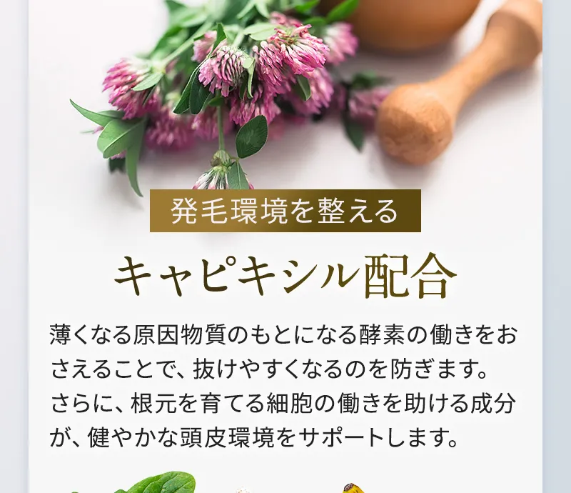 毛髪環境を整える キャピキシル配合 薄くなる原因物質のもとになる酵素の働きをおさえることで、抜けやすくなるのを防ぎます。さらに、根元を育てる細胞の働きを助ける成分が、健やかな頭皮環境をサポートします。