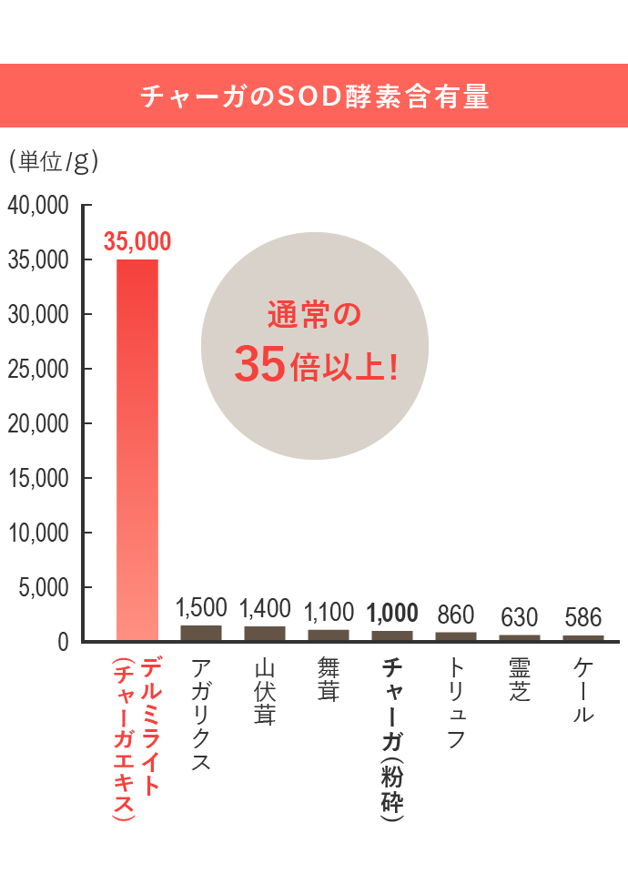 カバノアナタケ