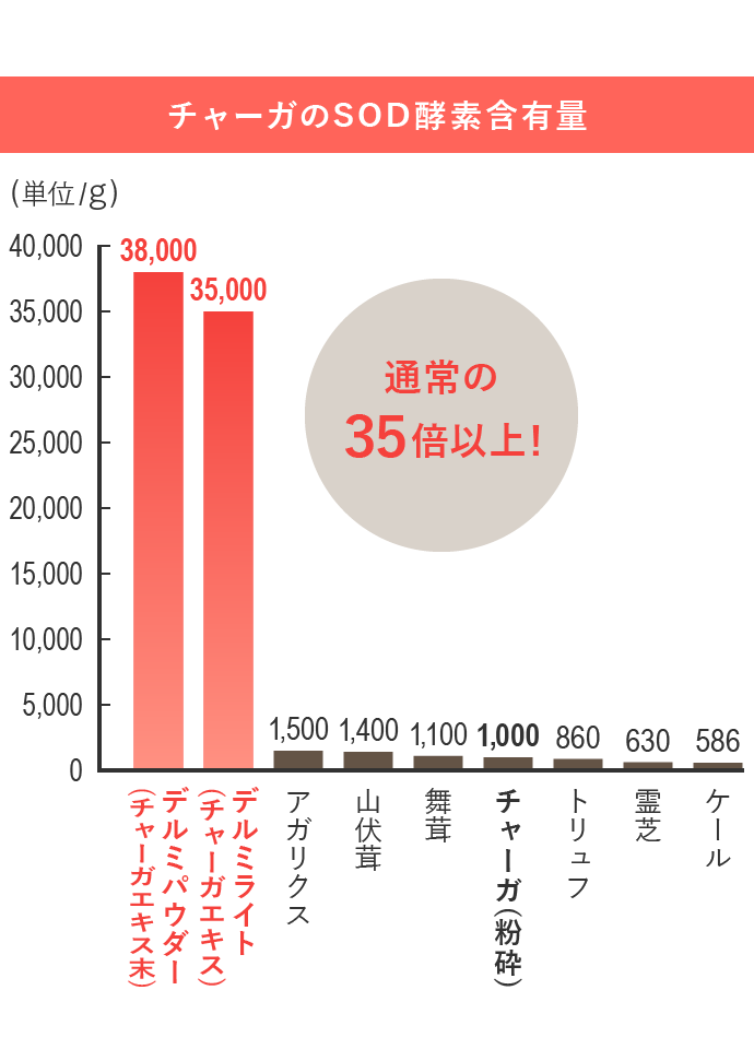 カバノアナタケ