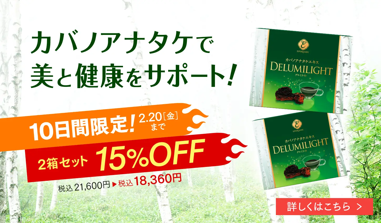 ファーストビュー