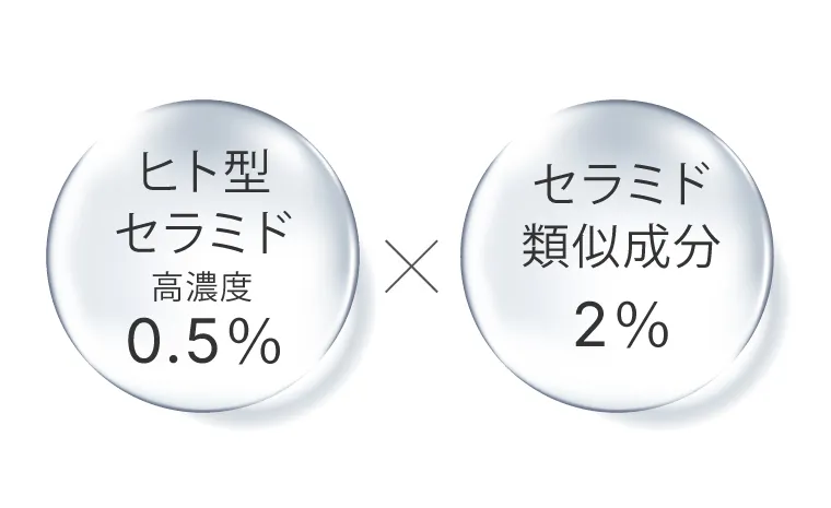 6種のペプチド