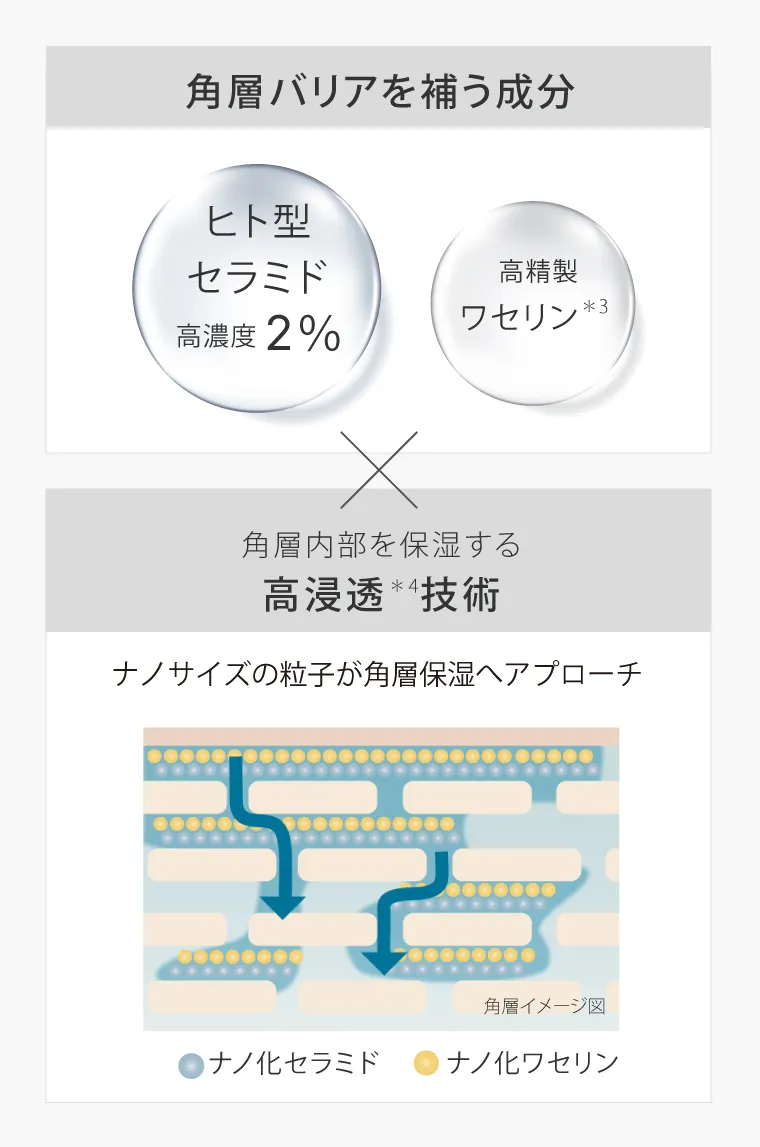 角層バリアを補う成分×角層内部を保湿する高浸透*4技術