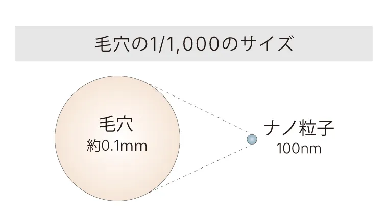 毛穴の1/1,000のサイズ