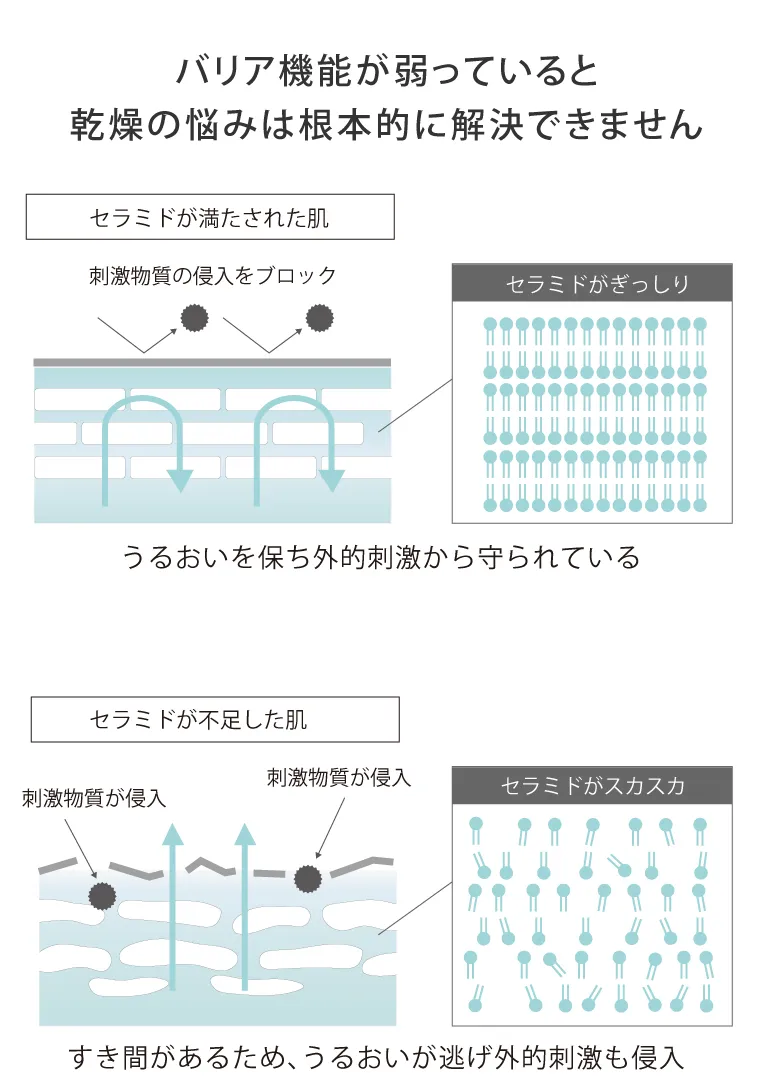 バリア機能が弱っていると乾燥の悩みは根本的に解決できません