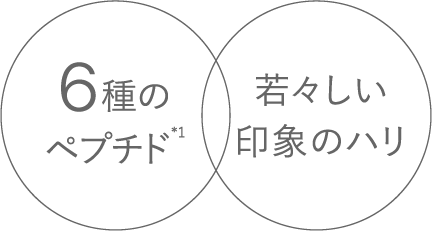 6種のペプチド*1 若々しい印象のハリ
