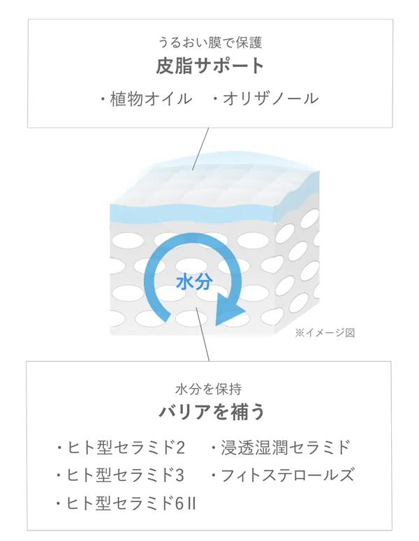 バリアを補う皮脂サポート