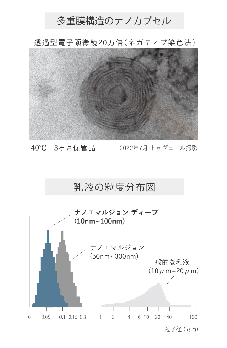 粒度分布
