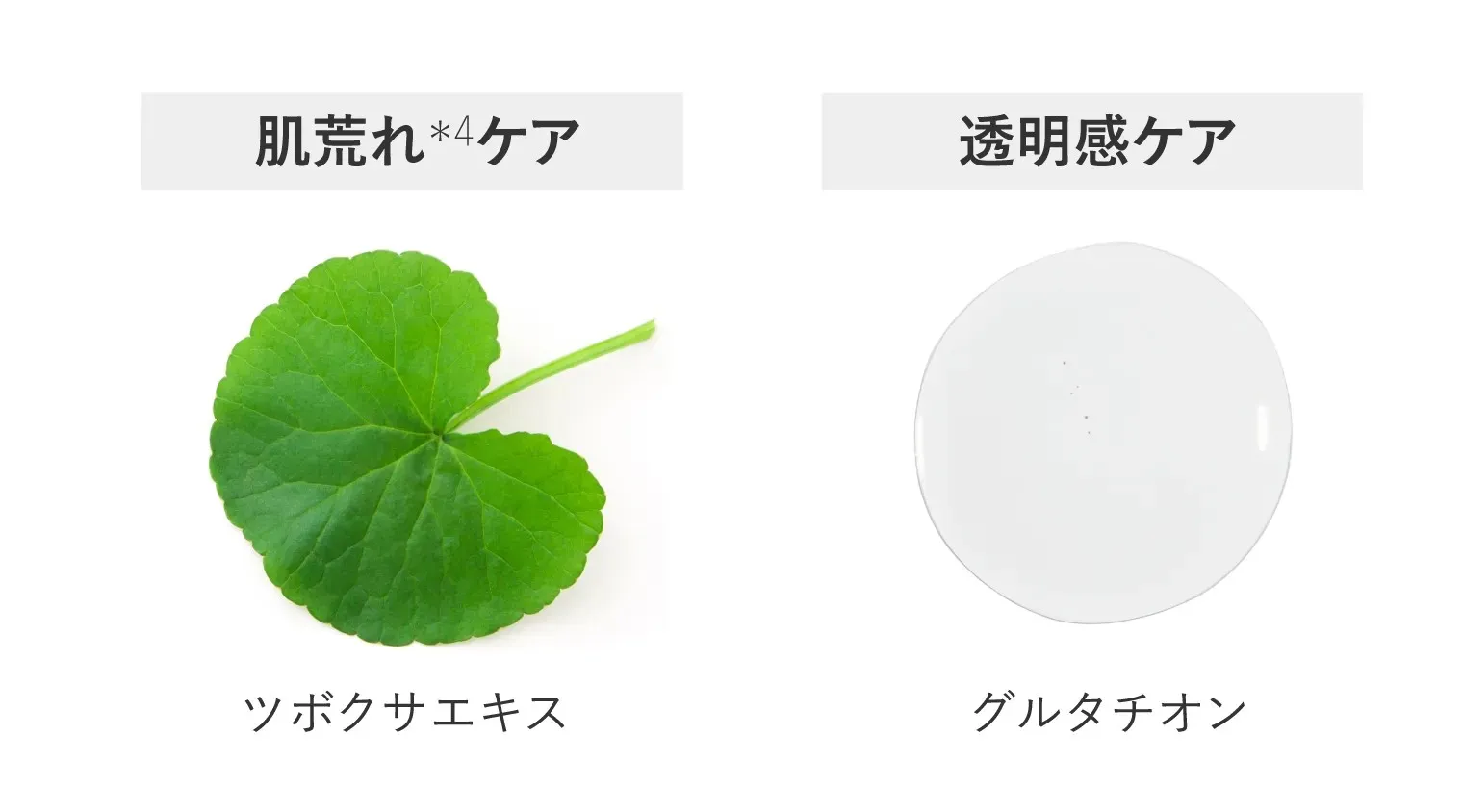 美容成分