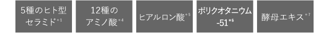 成分