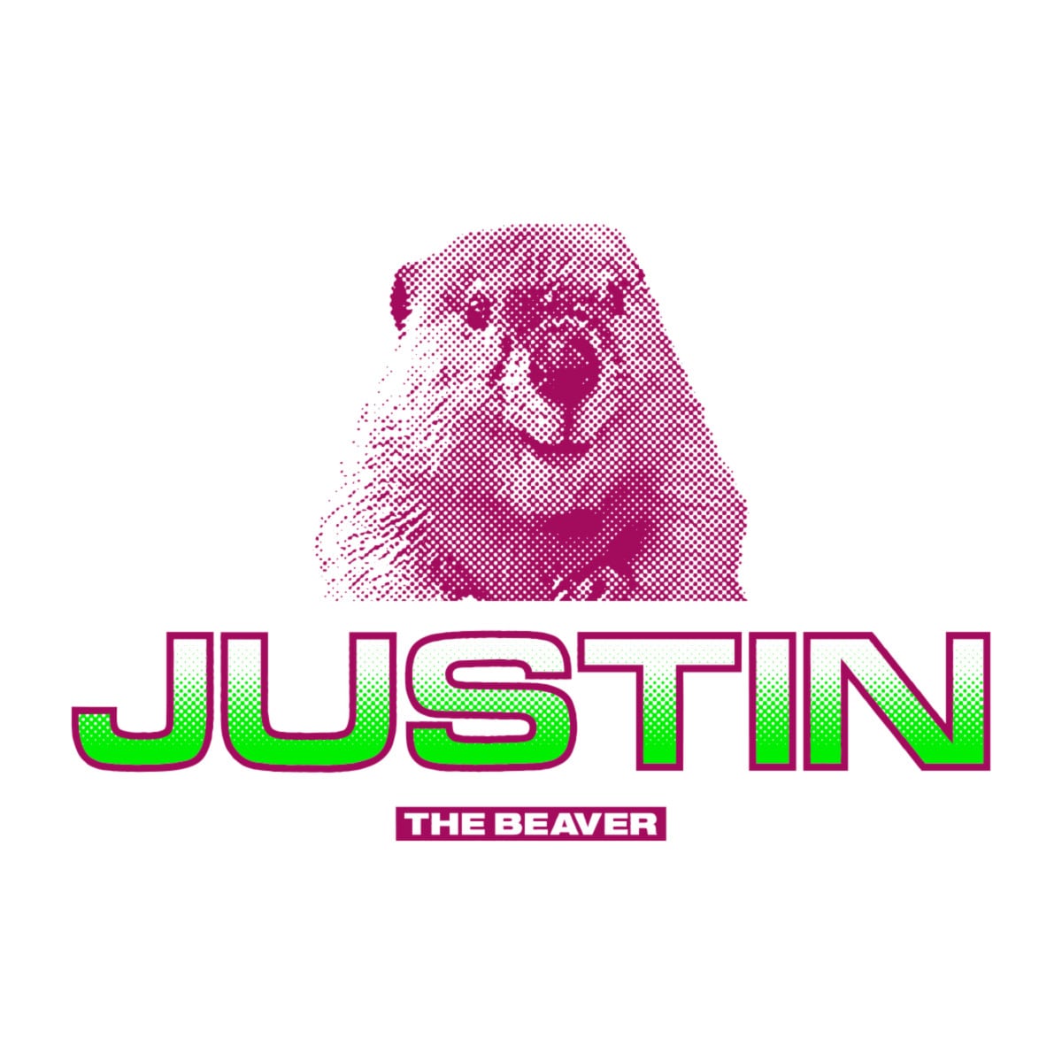 JUSTIN the BEAVER T-SHIRTS size: S