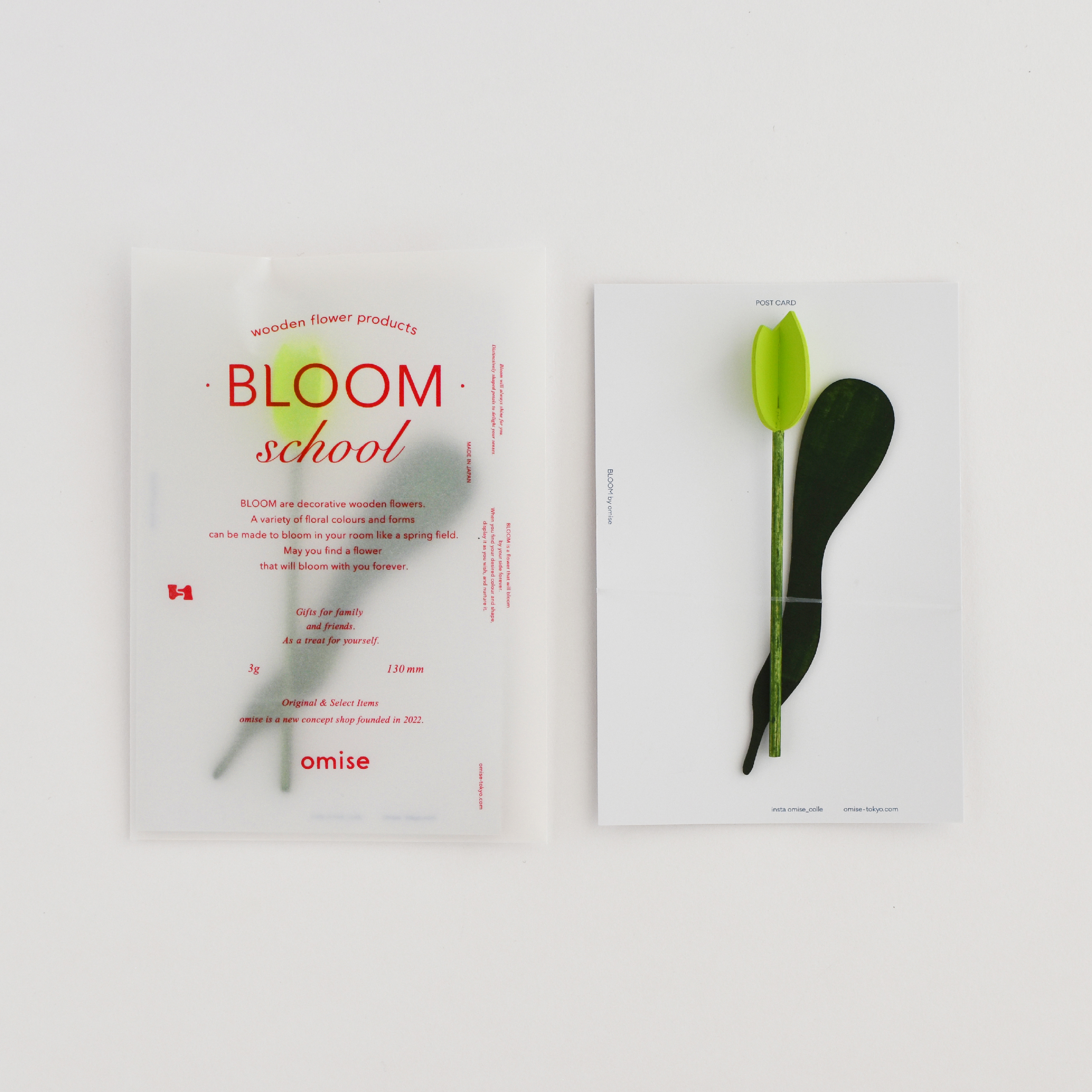 BLOOM school GREEN
