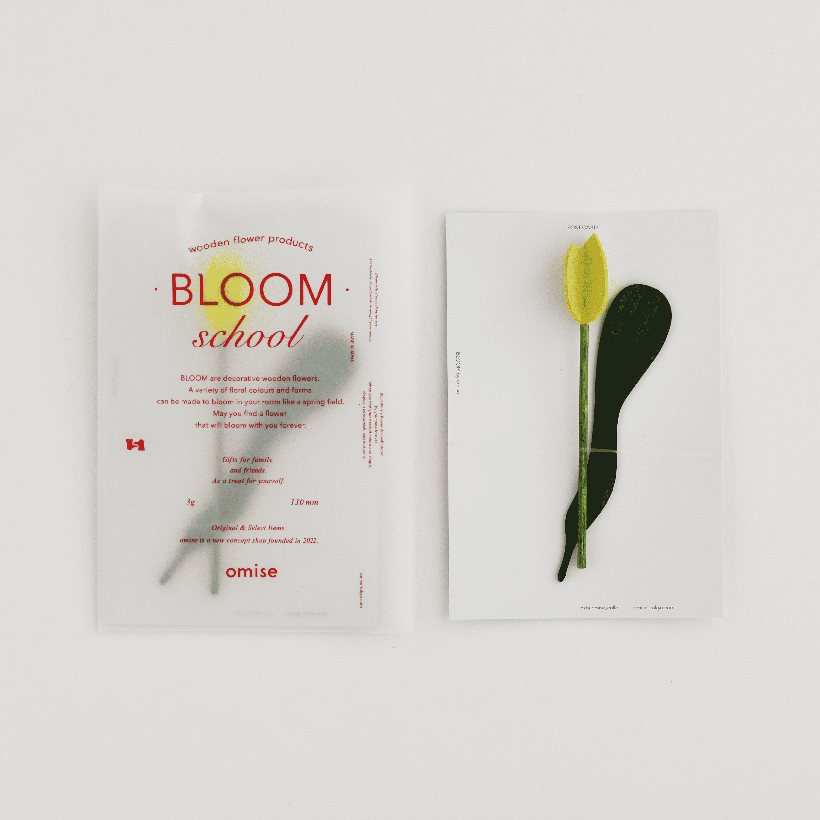 BLOOM school YELLOW