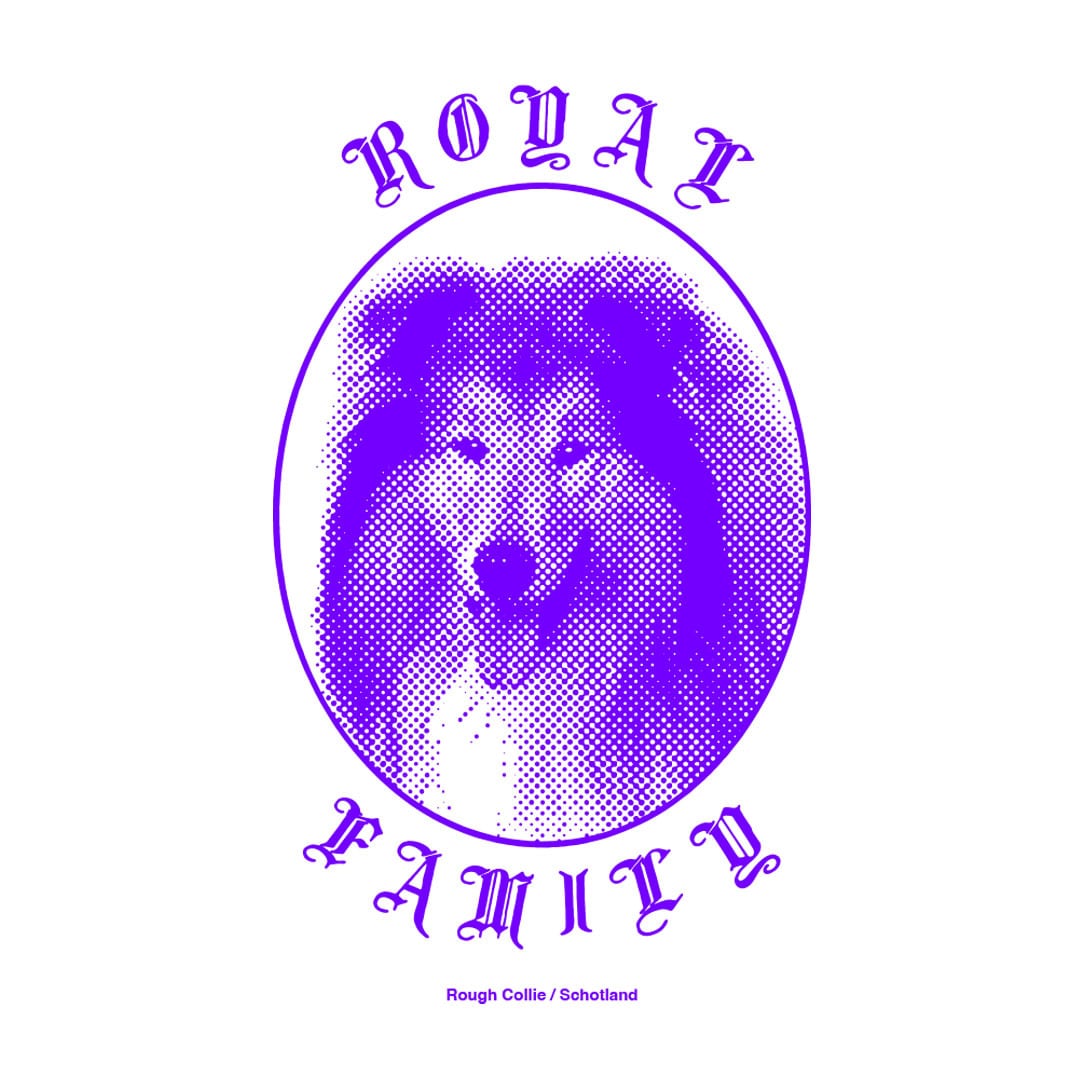 ROYAL FAMILY T-SHIRTS size: S
