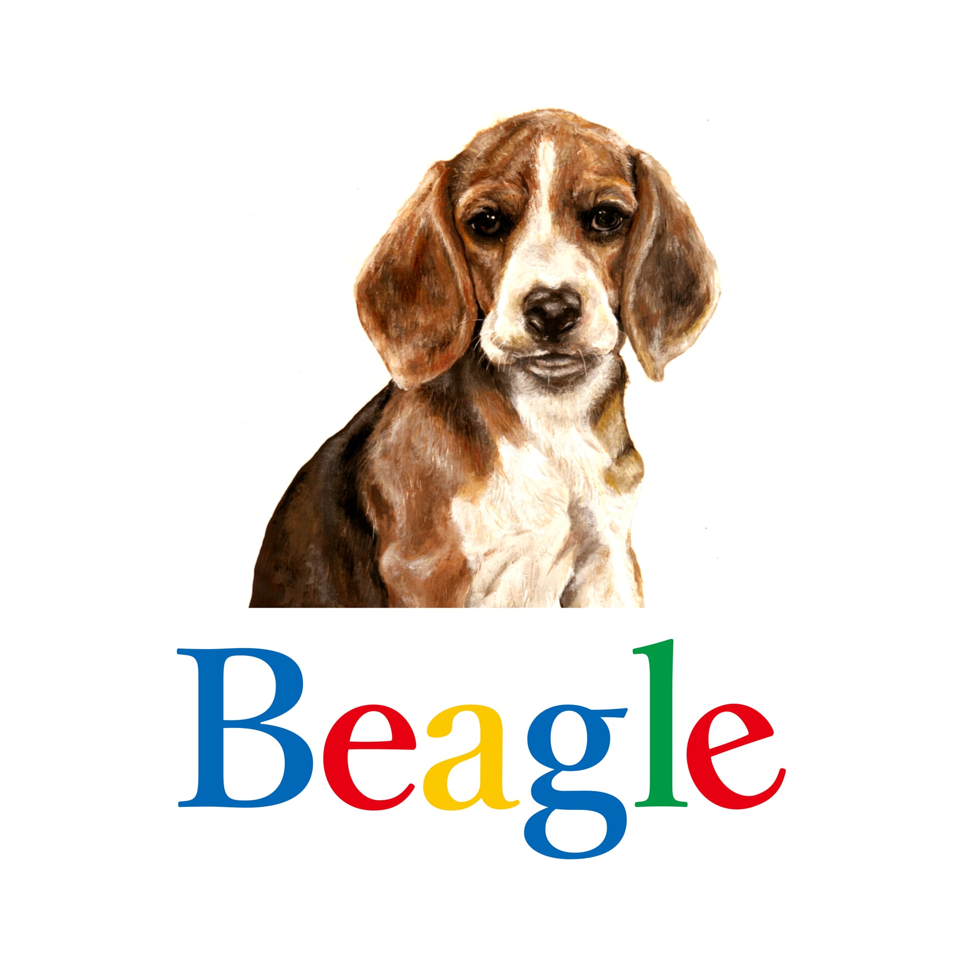 Beagle T-SHIRTS size: S