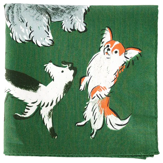 DOG RUN