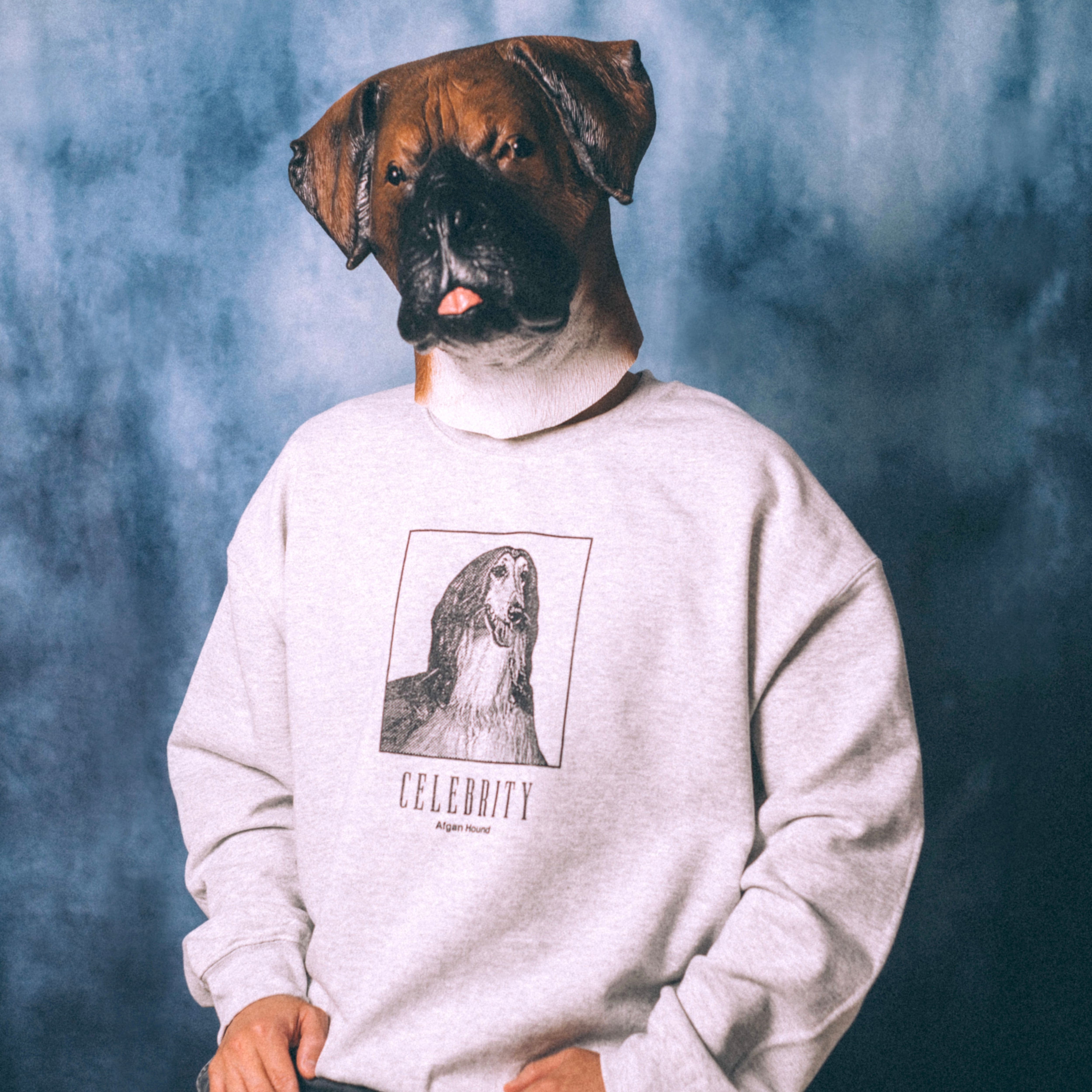 CELEBLITY sweat shorts